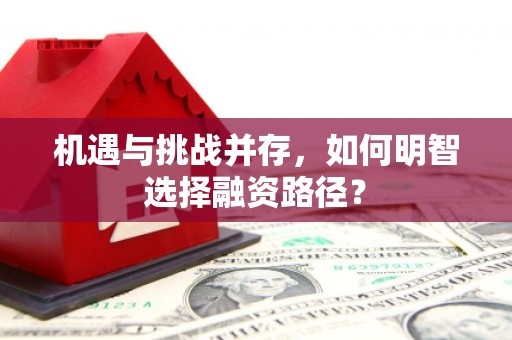 安康机遇与挑战并存，如何明智选择融资路径？