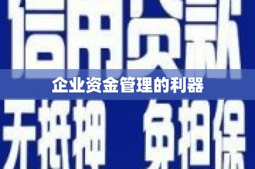 安康企业资金管理的利器