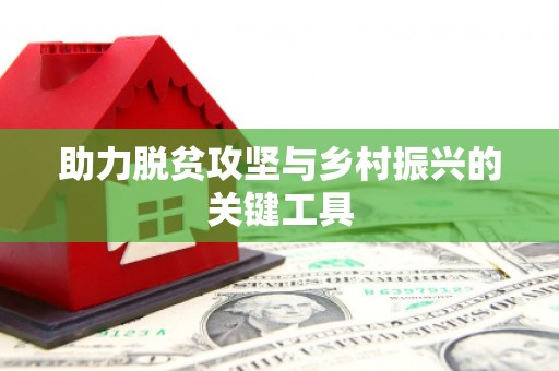 安康助力脱贫攻坚与乡村振兴的关键工具