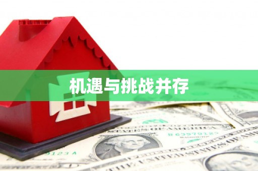 安康机遇与挑战并存