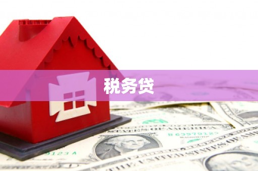 安康税务贷